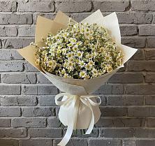 Букет цветов из:  Ромашки в Середейском