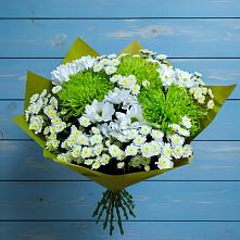 Букет цветов из:  Хризантемы #REPLACE_PRED# Середейском