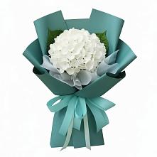 Букет цветов из:  Гортензия в Середейском